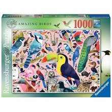 Puzzle 1000 Matt Sewell's Wspaniałe ptaki