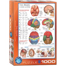Puzzle 1000 The Brain 6000-0256