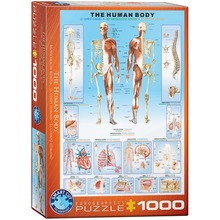 Puzzle 1000 The Human Body 6000-1000