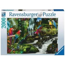 Puzzle 2000 Papugi w dżungli