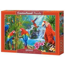 Puzzle 2000 Parrot Meeting CASTOR
