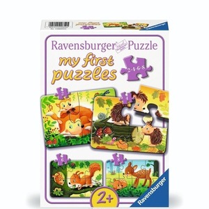 Puzzle 2/4/6/8 Forest Animal Fun
