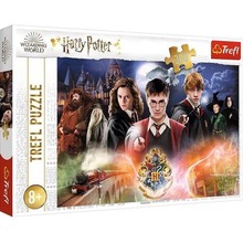 Puzzle 300 Tajemniczy Harry Potter TREFL