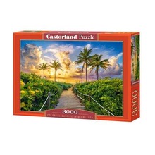 Puzzle 3000 Colorful Sunrise in Miami, USA