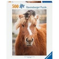 Puzzle 500 Ponny and Cat