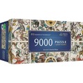 Puzzle 9000 Ancient Celestial Maps TREFL