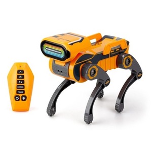 Robo Express pomarańczowy