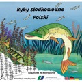 Ryby słodkowodne w Polsce - książeczka do kolorowa