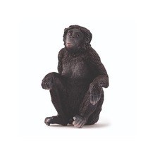 Samica szympansa karłowatego