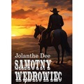 Samotny wędrowiec