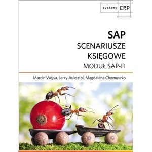 SAP Scenariusze księgowe. Moduł SAP-FI