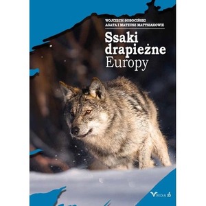 Ssaki drapieżne Europy