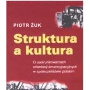 Struktura a kultura