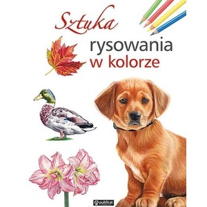 Sztuka rysowania w kolorze