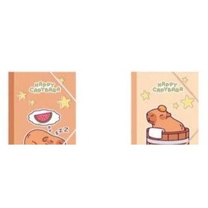 Teczka A4 gumką MIX