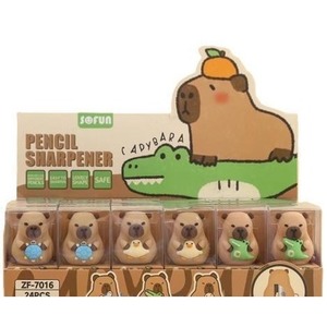 Temperówka Kapibara (24szt)