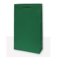 Torebka prezentowa jednobarwna T4 zielona 10 sztuk