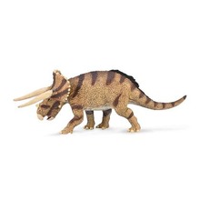 Triceratops Horridus w starciu