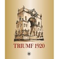 Triumf 1920. Obraz i pamięć