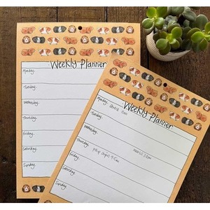 Tygodniowy planer A4/60K Świnki morskie