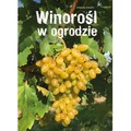 Winorośl w ogrodzie