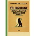 Yellowstone. Kraj gorących źródeł i niedźwiedzi