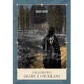 Zagadkowe głosy z otchłani