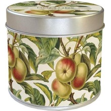 Zapachowa świeczka 204 - jabłoń - zapach jabłkowy