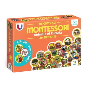 Zestaw magnesów Montessori Zwierzęta Eurazja