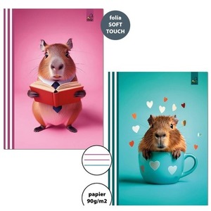 Zeszyt A4/32K 3-linie kolor 90g Kapibara (6szt)