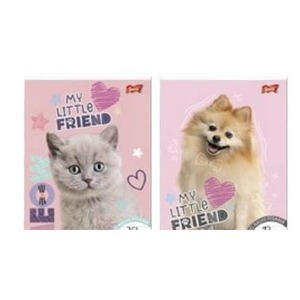 Zeszyt A4/32K linia 2kol My little friend (15szt)