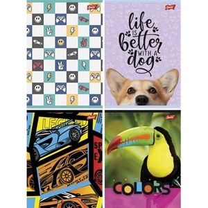 Zeszyt A4/32K linia podwójna mix (15szt)