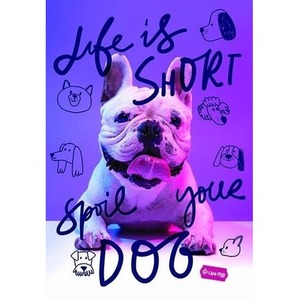 Zeszyt A4/60K kratka Basic mix (10szt) MAR MAR