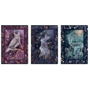 Zeszyt A4/60K kratka Fairytale (5szt) TOP2000