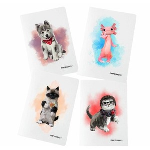 Zeszyt A4/60K kratka PP Joy (4szt) NARCISSUS