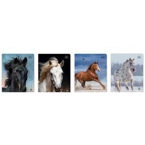Zeszyt A5/16K 3kol linia UV Wild Horses (20szt)