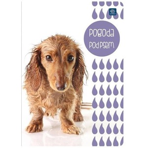 Zeszyt A5/16K gładki (20szt)