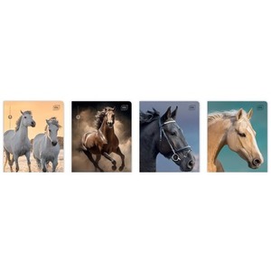 Zeszyt A5/16K kratka 70g UV Wild Horses (20szt)