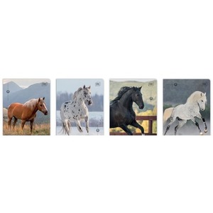Zeszyt A5/32K 3kol linia 70g UV Wild Horses(10szt)