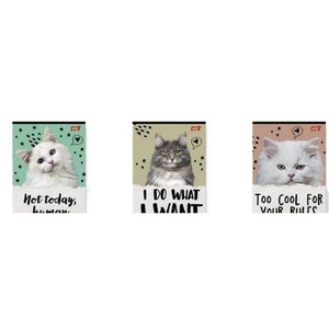 Zeszyt A5/32K kratka Caturday(15szt)