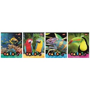 Zeszyt A5/32K kratka Exotic Colors (15szt)