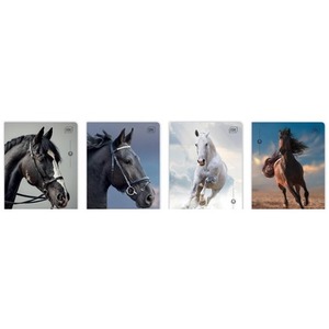 Zeszyt A5/32K kratka M 70g UV Wild Horses (10szt)