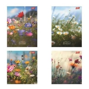 Zeszyt A5/60K linia Romantic Meadow (10szt)