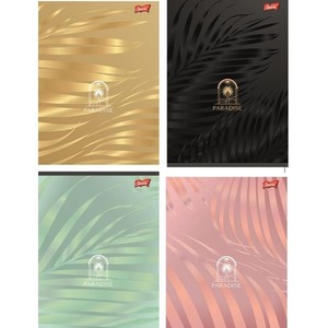 Zeszyt A5/96K kratka Paradise (10szt)