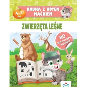 Zwierzęta leśne. Nauka z kotem Maćkiem